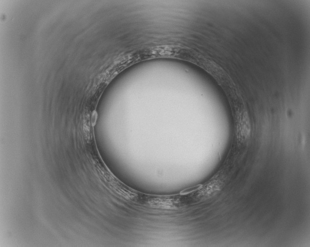 X0000051920661200507152058