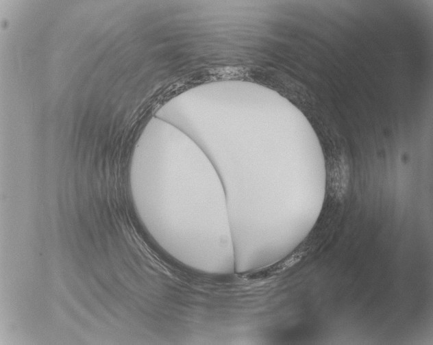 X0000051920662200507152058