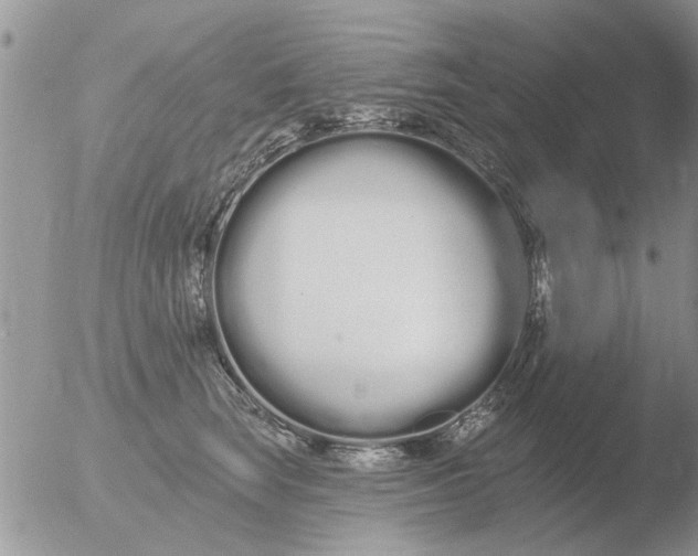 X0000051920663200507152058