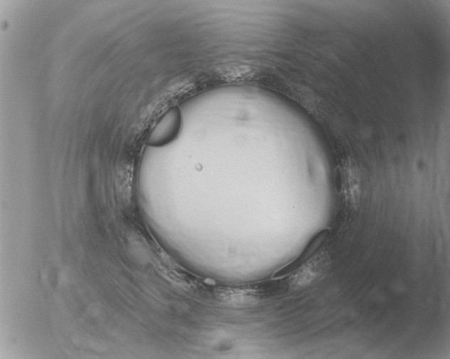 X0000051920664200507152058