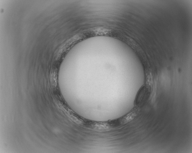 X0000051920666200507152058