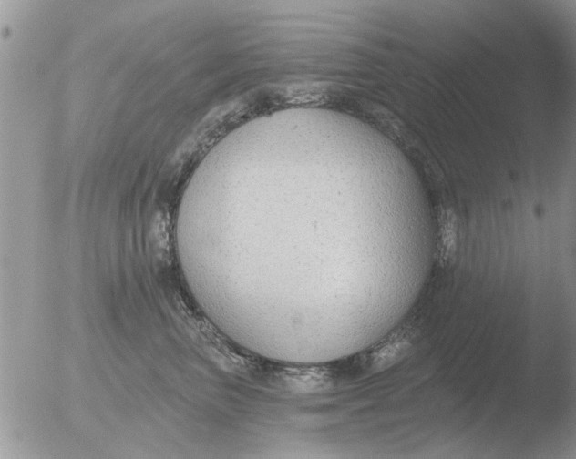 X0000051920667200507152058