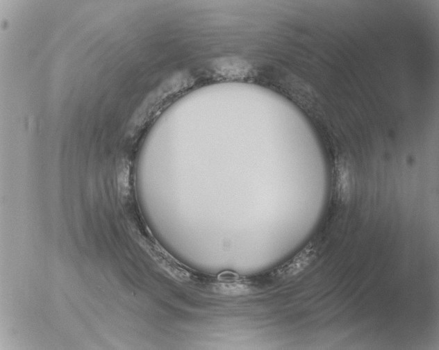 X0000051920668200507152058