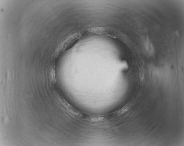 X0000051920669200507152058