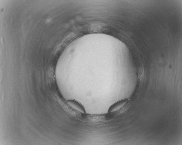 X0000051920670200507152058