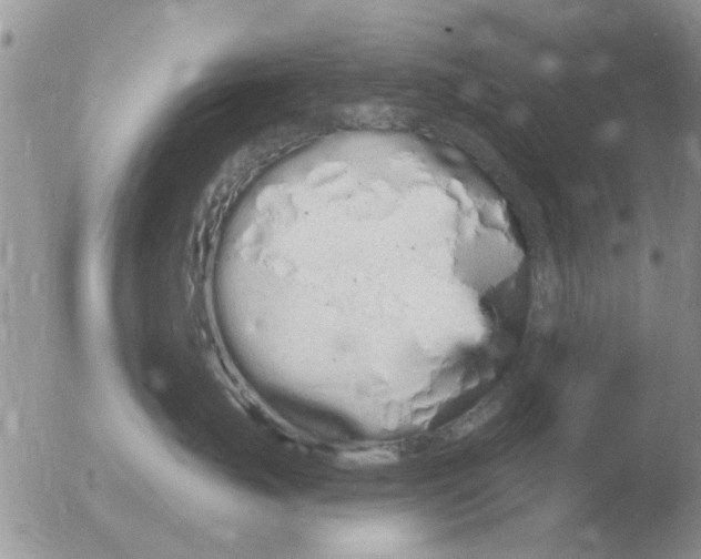 X0000051920671200507152058