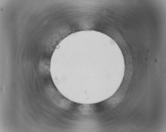 X0000051920672200507152058