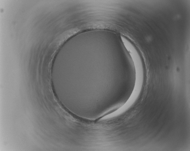 X0000051920673200507152057