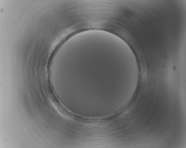 X0000051920674200507152057