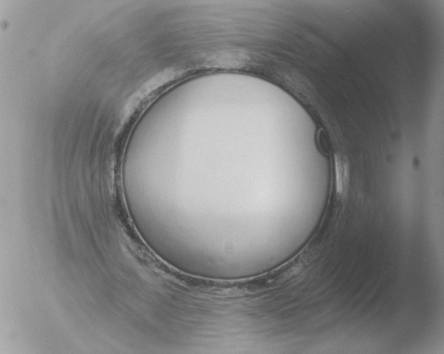 X0000051920675200507152057