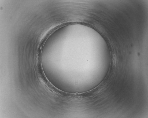 X0000051920676200507152057