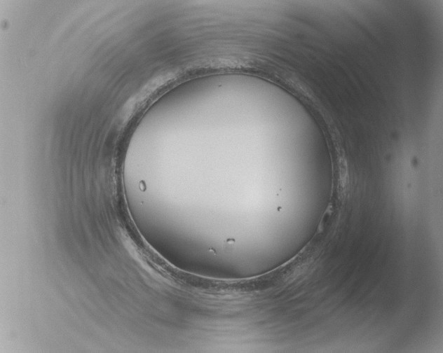 X0000051920677200507152057