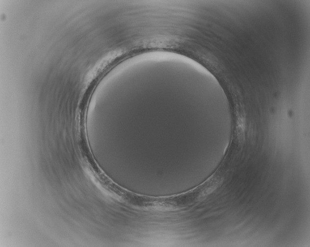 X0000051920678200507152057