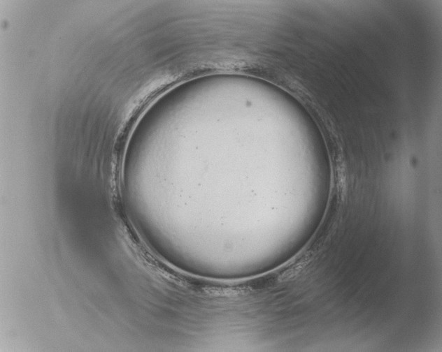 X0000051920679200507152057