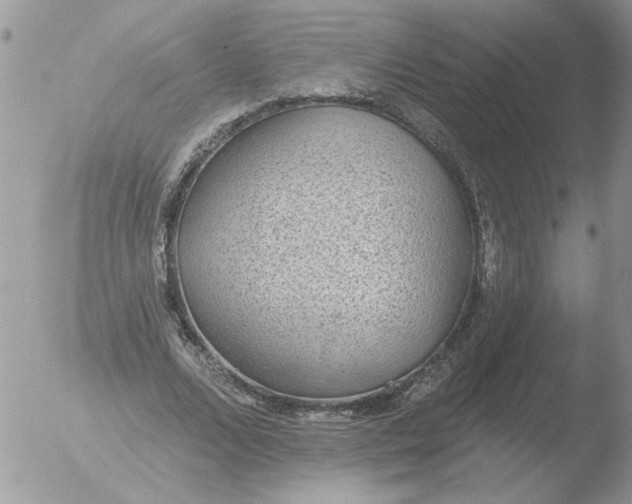 X0000051920680200507152057