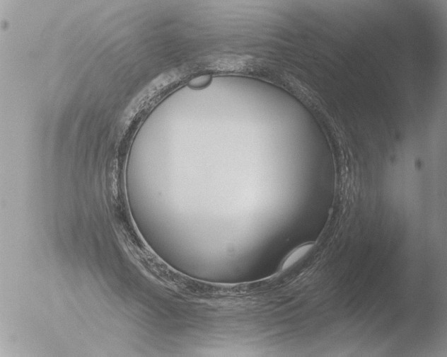 X0000051920682200507152057