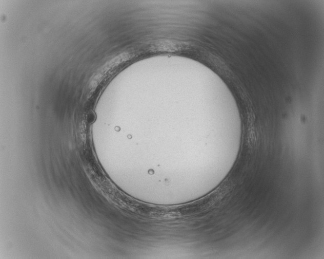 X0000051920683200507152057