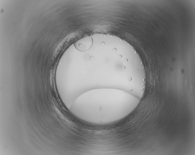 X0000051920686200507152057