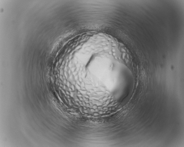 X0000051920688200507152057