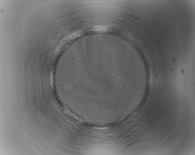 X0000051920689200507152057