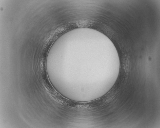 X0000051920690200507152057