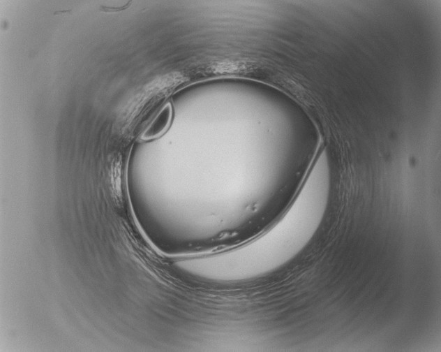 X0000051920691200507152057