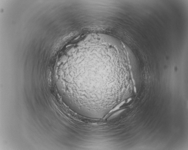 X0000051920692200507152057