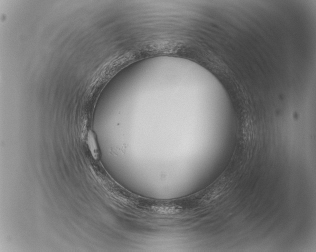 X0000051920693200507152057