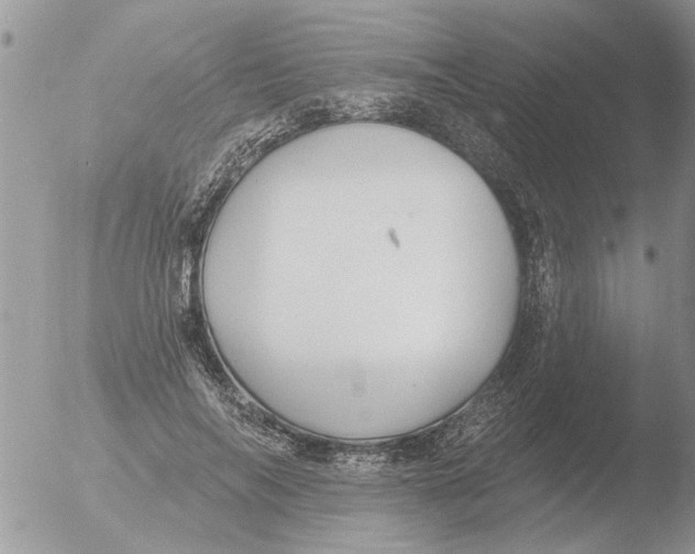 X0000051920694200507152057