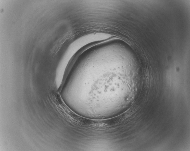 X0000051920695200507152057