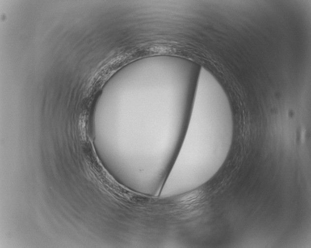 X0000051920696200507152057