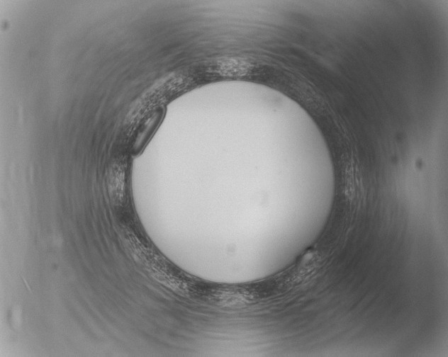 X0000051920697200507152057