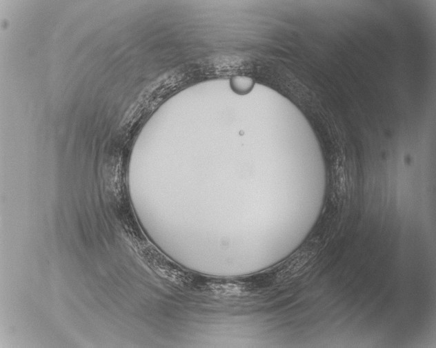 X0000051920698200507152057