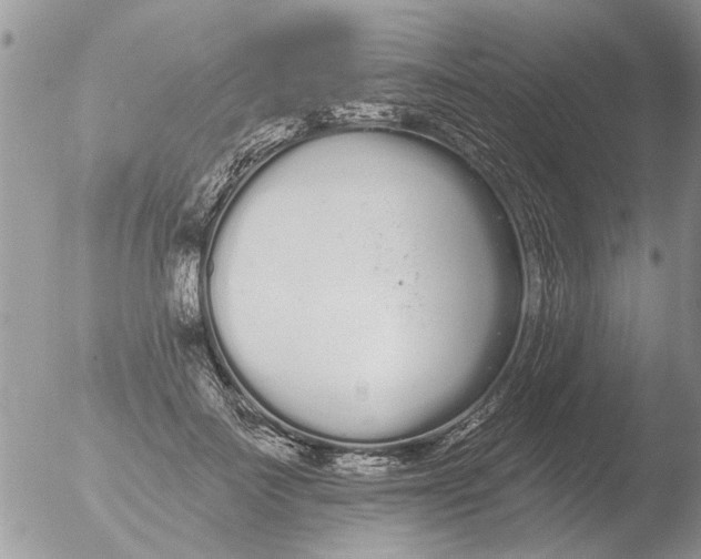 X0000051920699200507152057