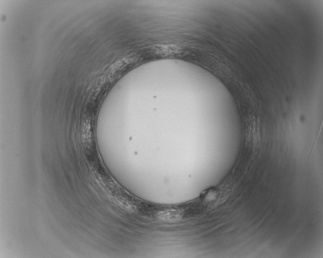 X0000051920700200507152057