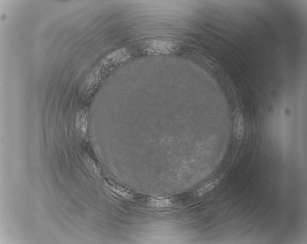 X0000051920701200507152057