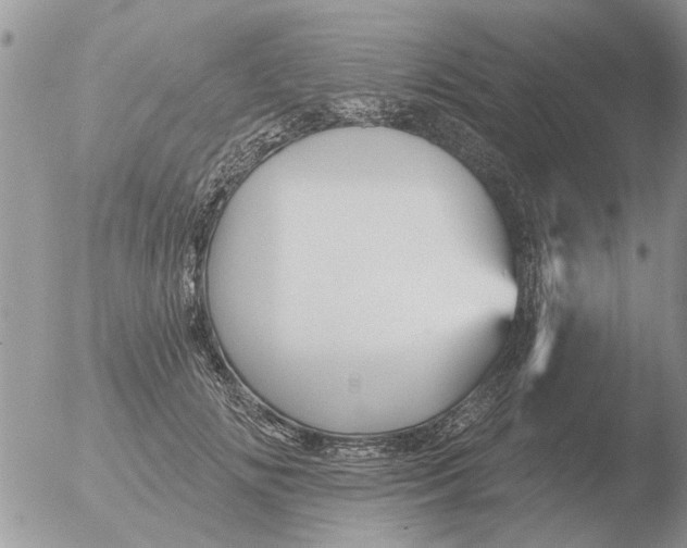 X0000051920702200507152057