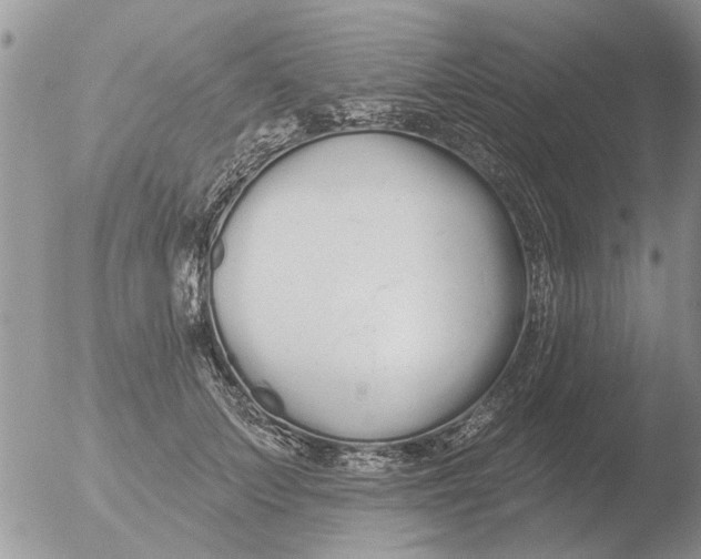 X0000051920703200507152057