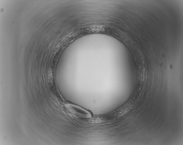 X0000051920704200507152057