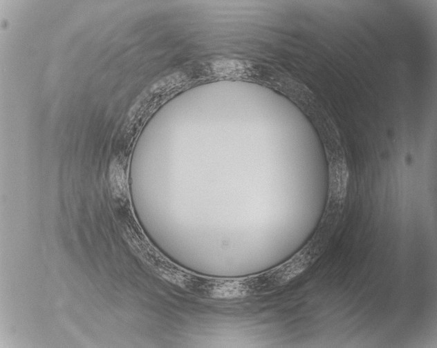 X0000051920705200507152057