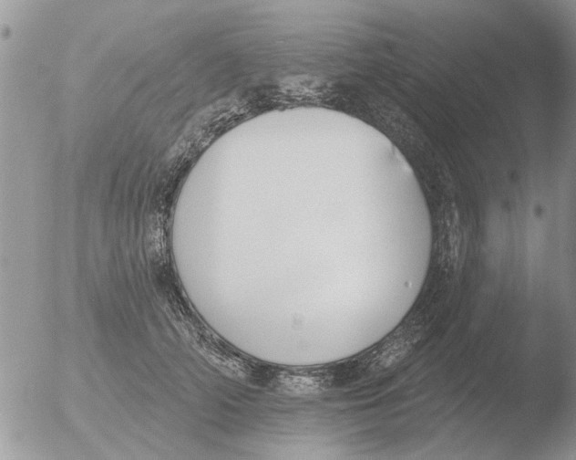 X0000051920706200507152057