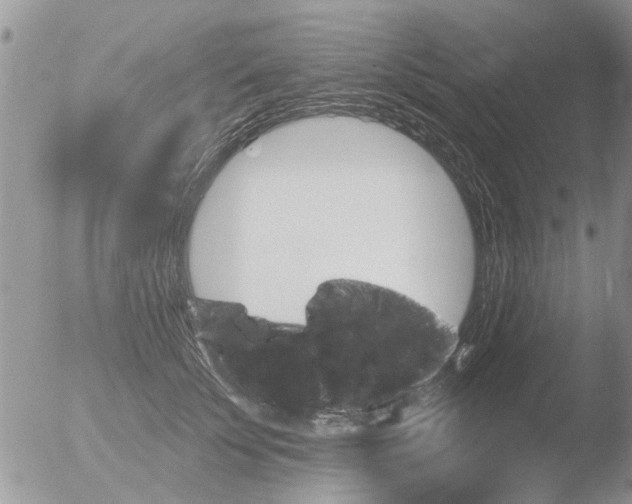 X0000051920707200507152057