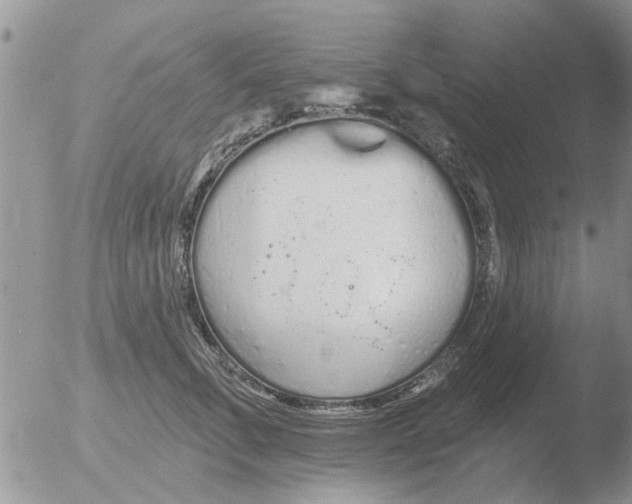 X0000051920711200507152057