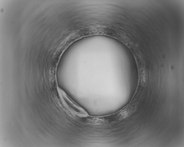 X0000051920712200507152057