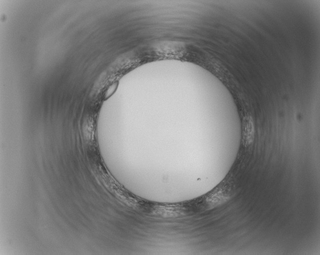 X0000051920713200507152057