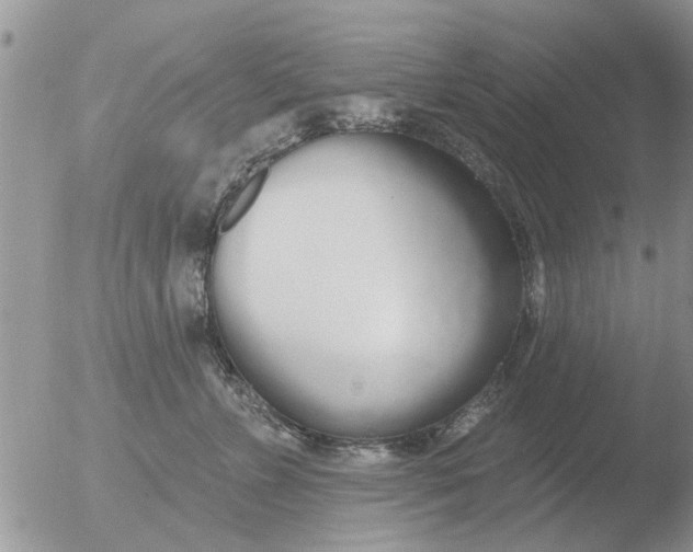 X0000051920715200507152057