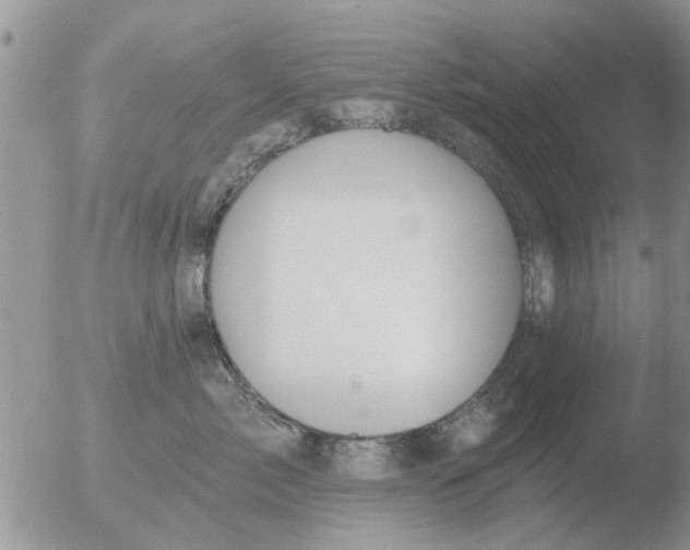 X0000051920717200507152057