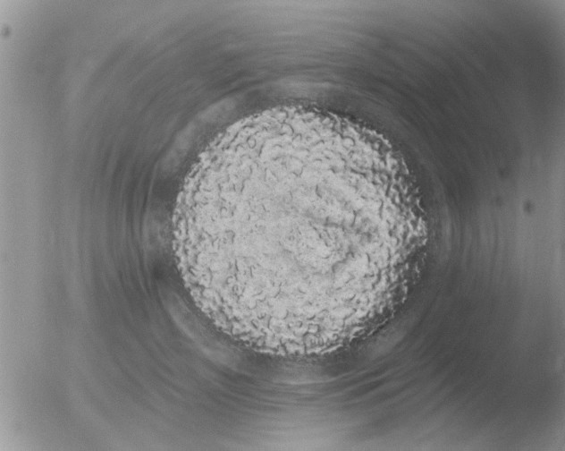 X0000051920718200507152057