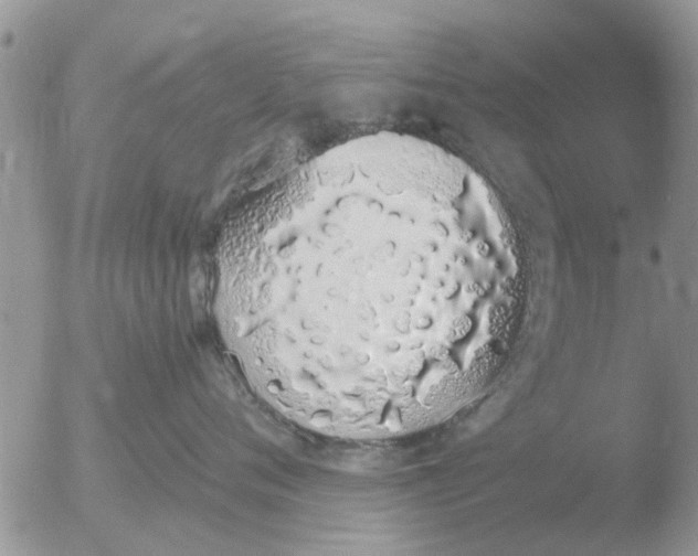 X0000051920720200507152057