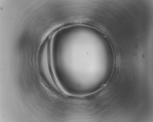 X0000051920722200507152056